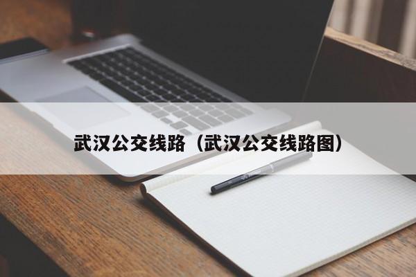 武汉公交线路（武汉公交线路图）