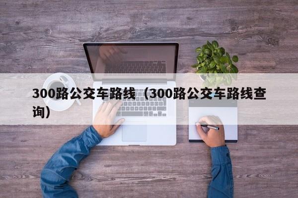 300路公交车路线（300路公交车路线查询）