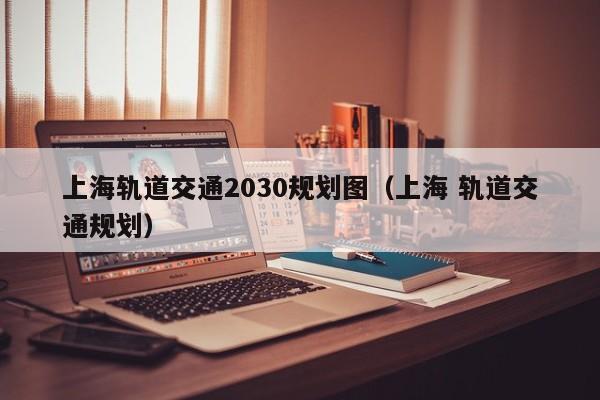 上海轨道交通2030规划图（上海 轨道交通规划）