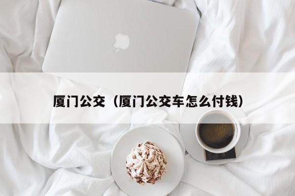 厦门公交（厦门公交车怎么付钱）