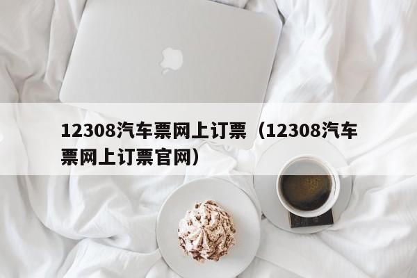 12308汽车票网上订票（12308汽车票网上订票官网）