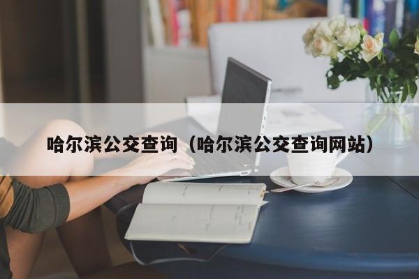 哈尔滨公交查询（哈尔滨公交查询网站）