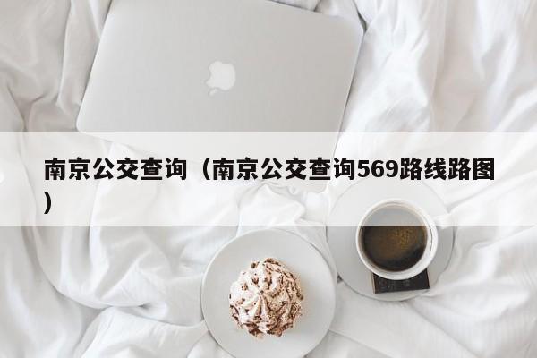 南京公交查询（南京公交查询569路线路图）