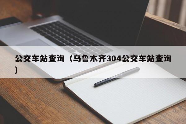 公交车站查询（乌鲁木齐304公交车站查询）