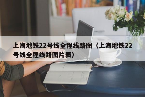 上海地铁22号线全程线路图（上海地铁22号线全程线路图片表）