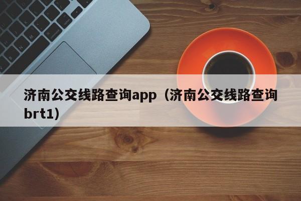 济南公交线路查询app（济南公交线路查询brt1）